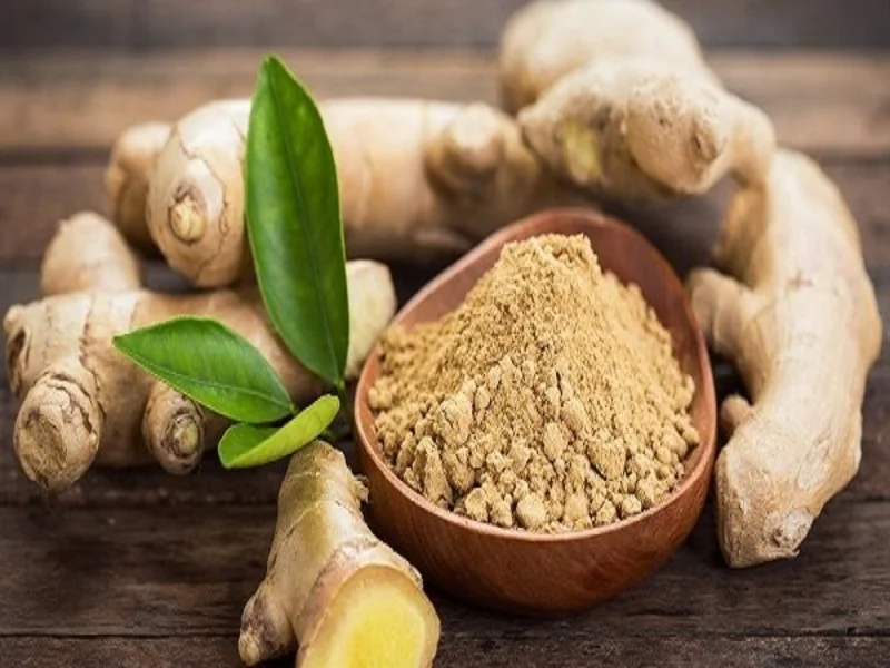 حلوا زنجبیلی اردبیل