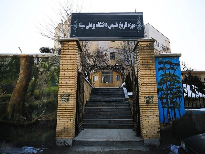 موزه تاریخ طبیعی همدان