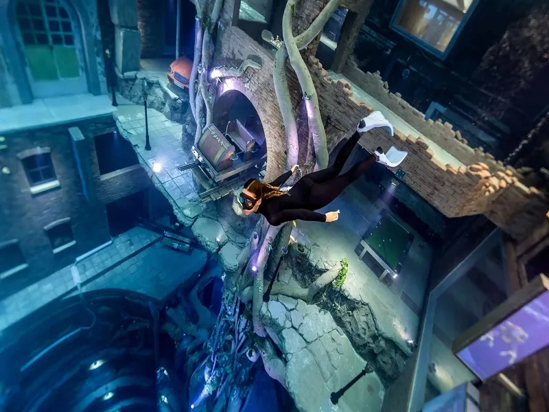 طراحی  Deep Dive Dubai