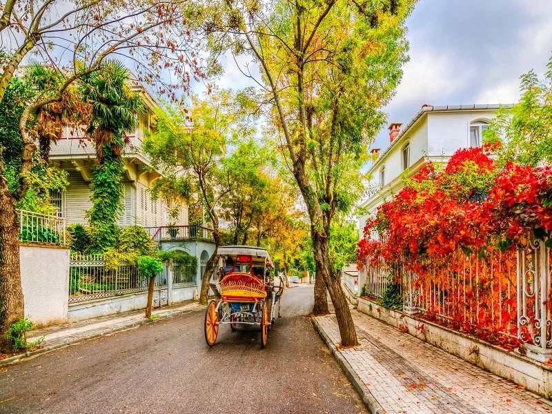 جزیره کینالی‌آدا استانبول