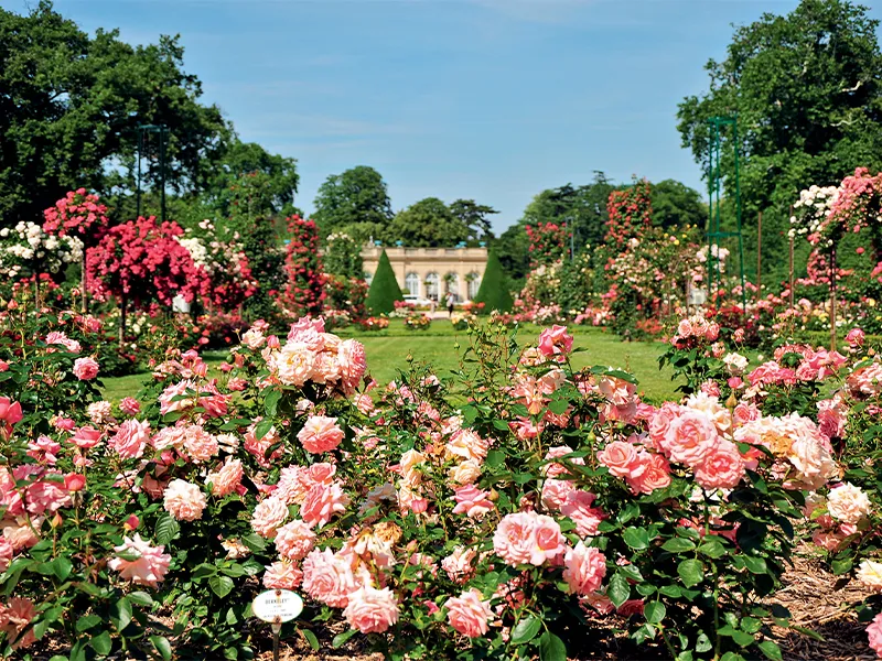 پارک De Bagatelle، پاریس