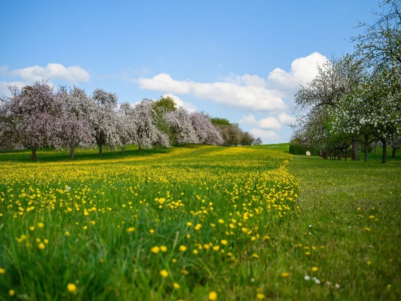 بهترین مقاصد برای سفر یک روزه در بهار