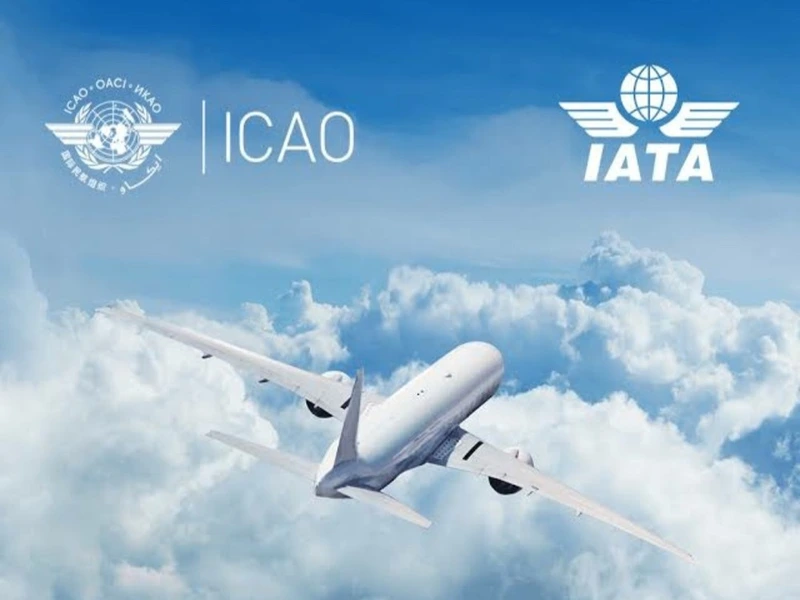 تفاوت ایکائو با سایر سازمان‌ها