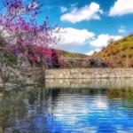 بهترین زمان سفر به مشهد چه موقعی است؟
