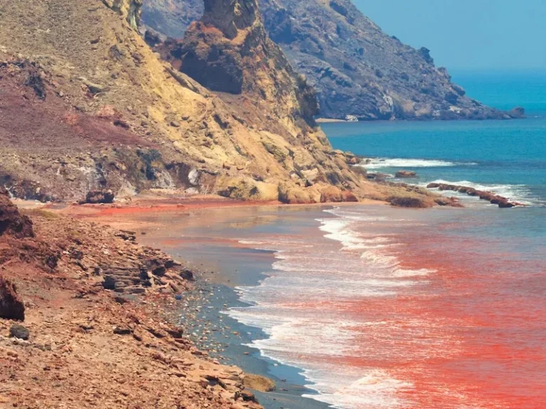 عکس از: سایت primary.jwwb.nl