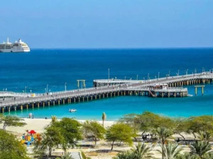 عکس از: licdn.com