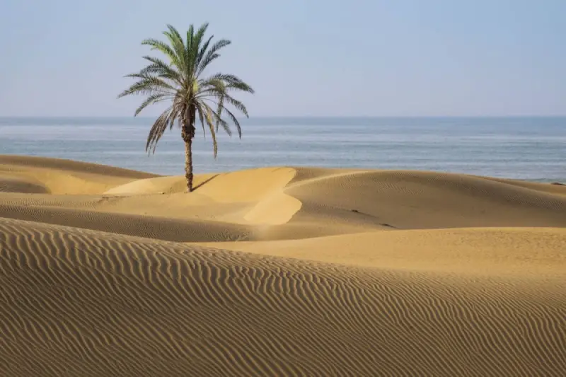 ساحل درک چابهار
