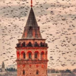 آشنایی با جاهای دیدنی استانبول