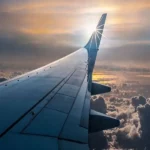 بال هواپیما