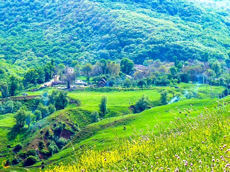 روستای افجه