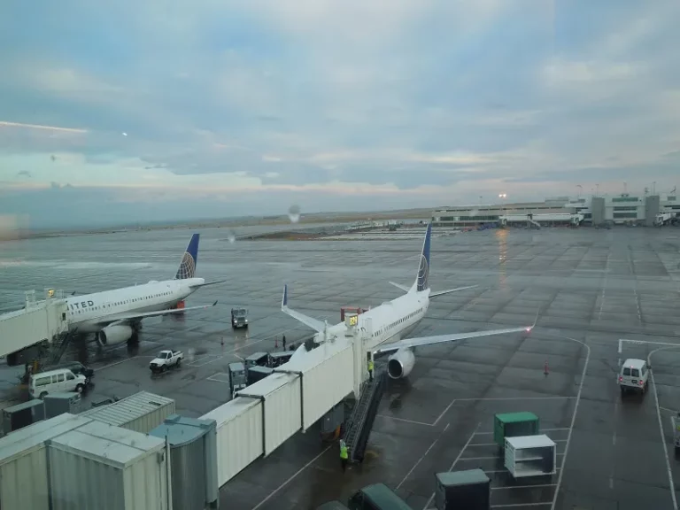 عکس از: سایت wikipedia