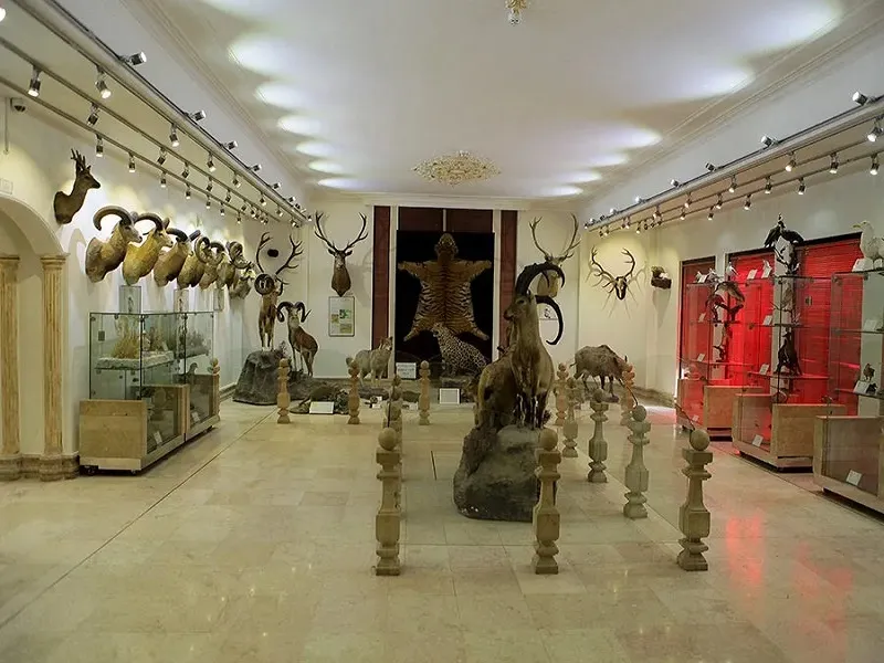 موزه حیات وحش دارآباد تهران