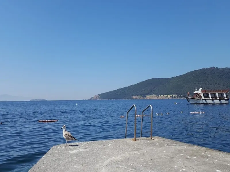 ساحل الیو صدف استانبول