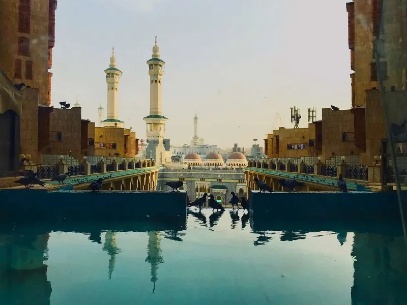 حقایق جالب درباره عربستان سعودی