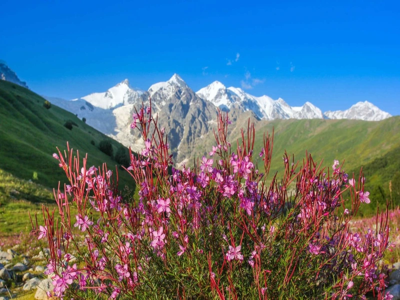 بهار، بهترین زمان سفر به ارمنستان
