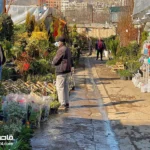 بازار گل‌های تهران