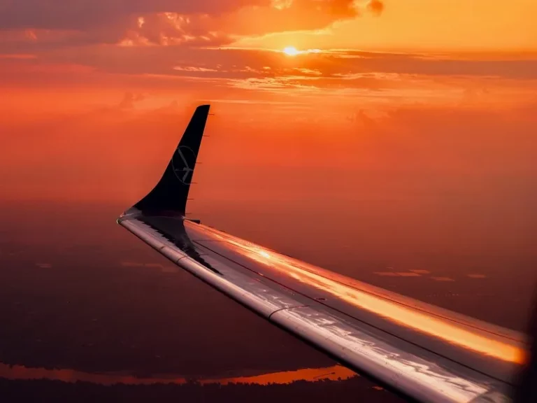 عکس از: سایت lot
