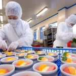 ساعات سرو میان وعدهها و غذا در پرواز بر اساس زمان حرکت