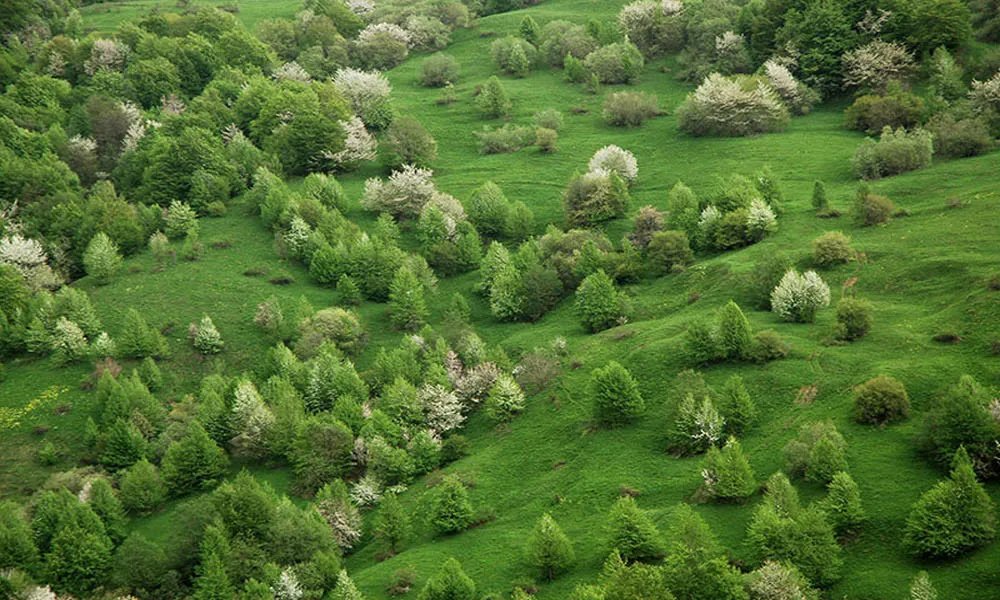 اوستیای جنوبی