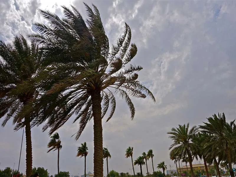 وزش باد در قطر