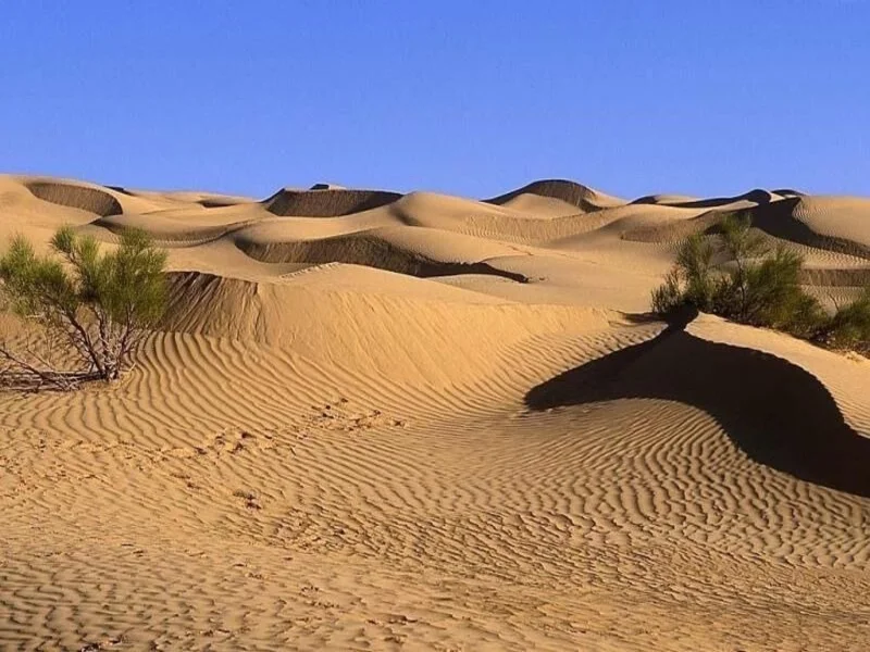 کویرهای اطراف یزد