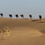 کویر مصر اصفهان