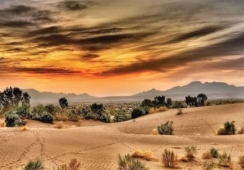 کویر مصر