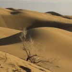 کویر مرنجاب