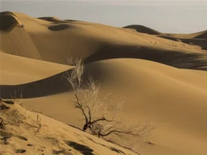 منبع از: tasnimnews.com