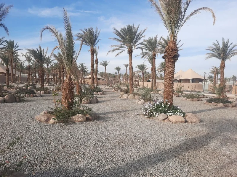 کمپ ستاره لوت شهداد