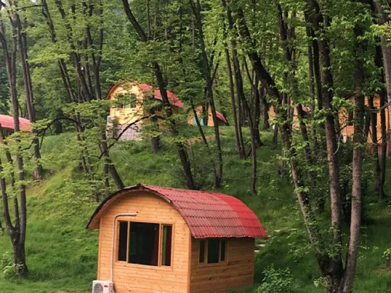 جنگل جوارم سوادکوه
