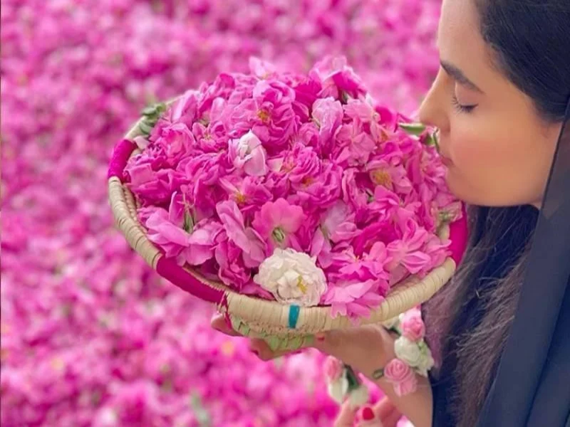 سفرهای تک نفره به کاشان