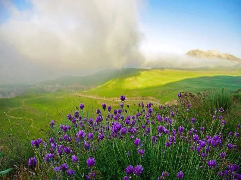 بهترین زمان سفر به دریاچه سد لار