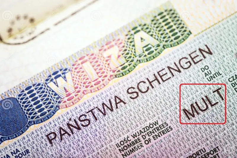 ویزای مولتی