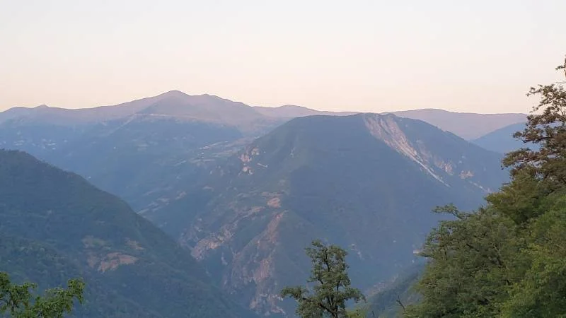 جنگل دالخانی رامسر