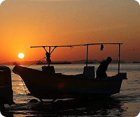 بلیط بندرعباس